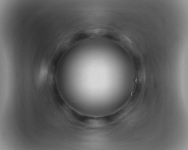 X0000114140515200910081307