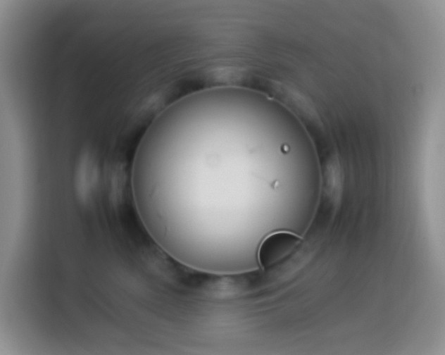 X0000114140522200910081307