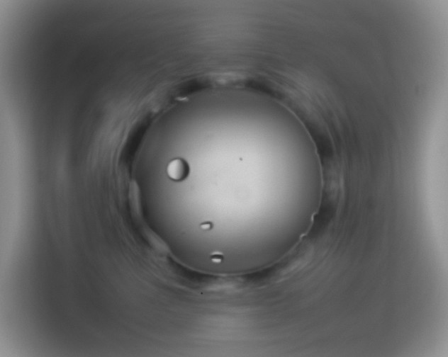 X0000114140523200910081307