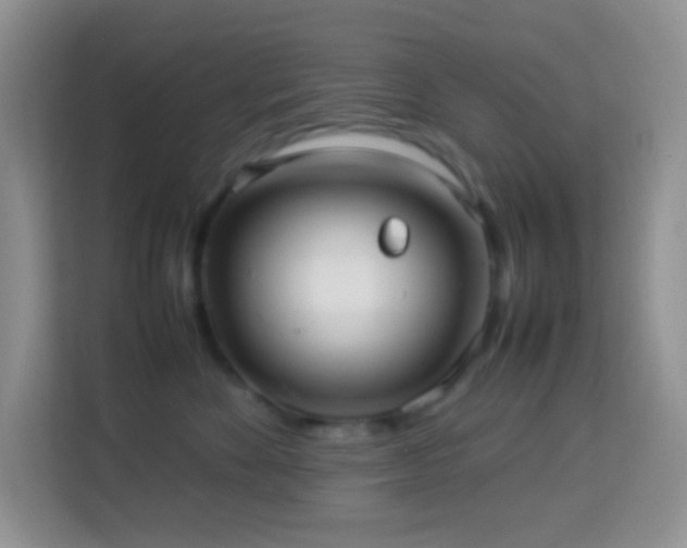 X0000114140524200910081307