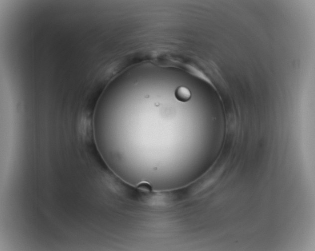 X0000114140527200910081307