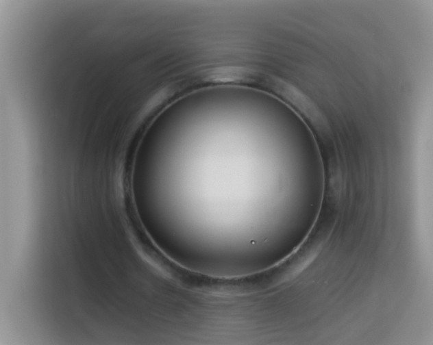 X0000114140530200910081307