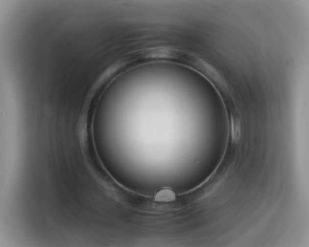 X0000114140531200910081307