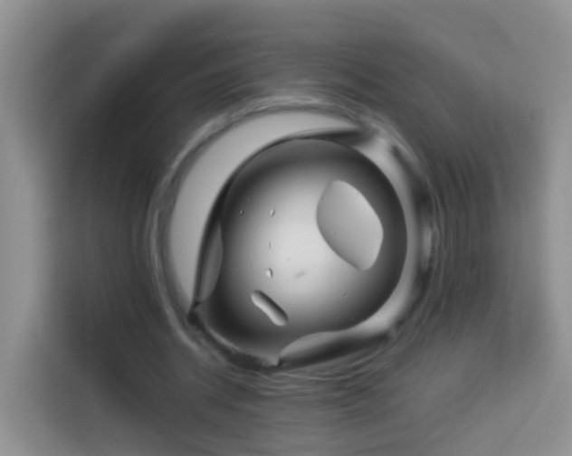 X0000114140534200910081307