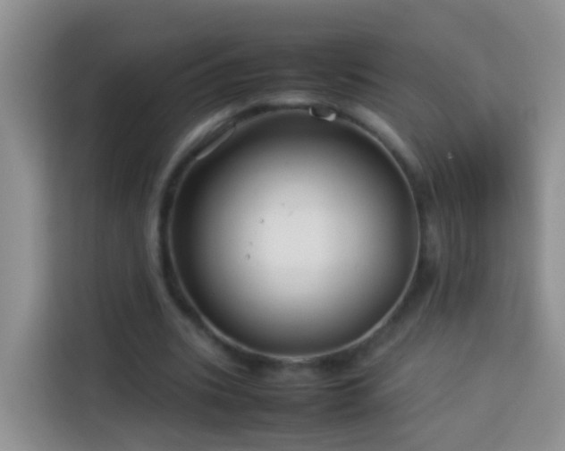 X0000114140535200910081307