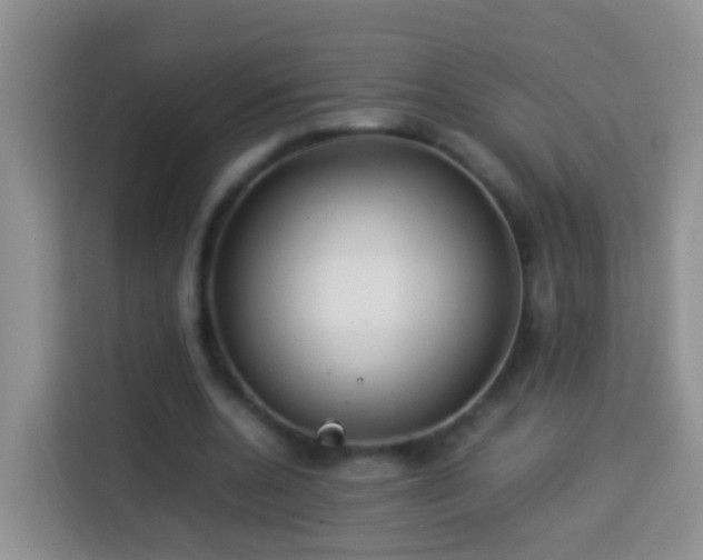 X0000114140536200910081307