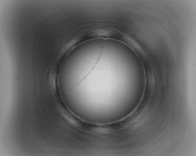 X0000114140537200910081307