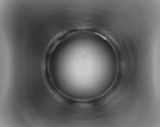 X0000114140539200910081307