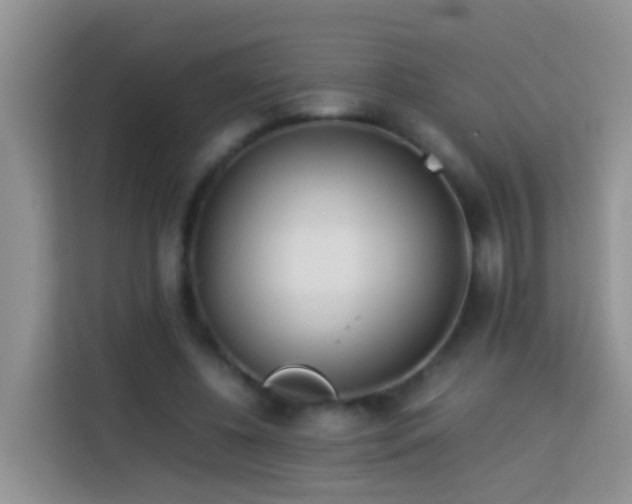 X0000114140540200910081307