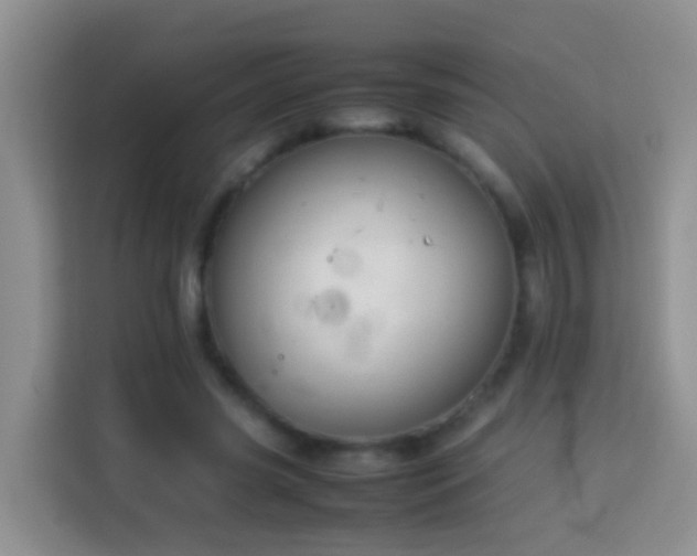 X0000114140541200910081307