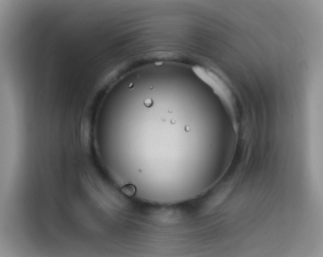 X0000114140542200910081307