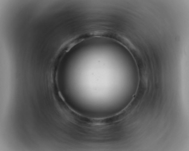 X0000114140543200910081307