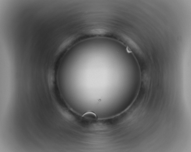 X0000114140544200910081307