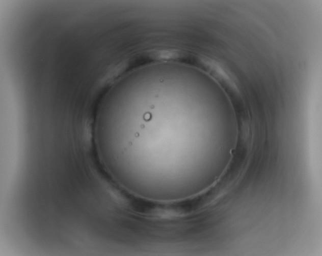 X0000114140545200910081307