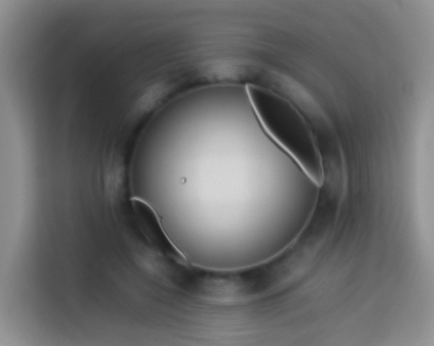 X0000114140548200910081307