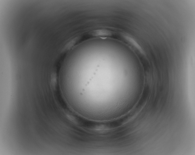 X0000114140549200910081307