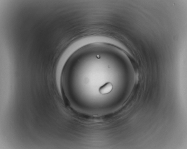 X0000114140552200910081307