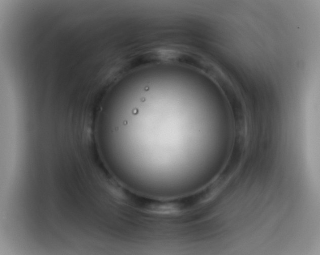 X0000114140553200910081307