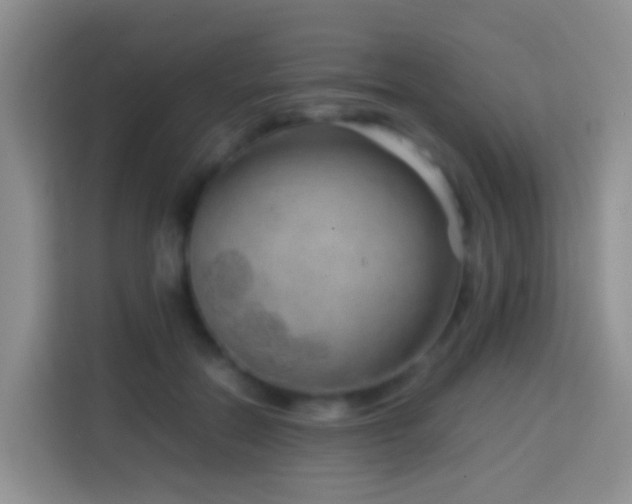 X0000114140554200910081307