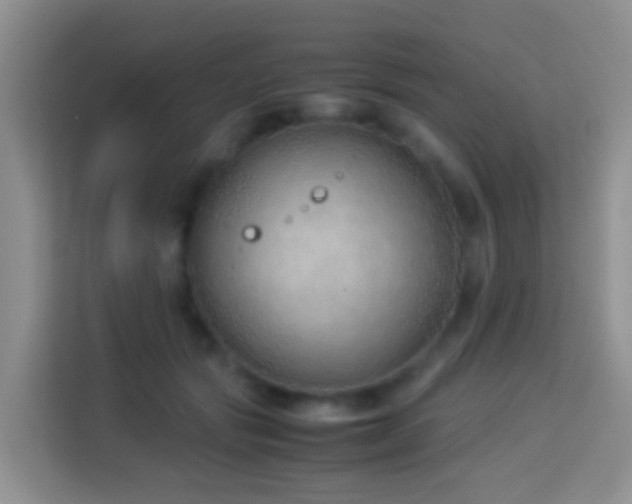 X0000114140557200910081307