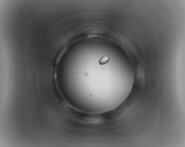 X0000114140559200910081307