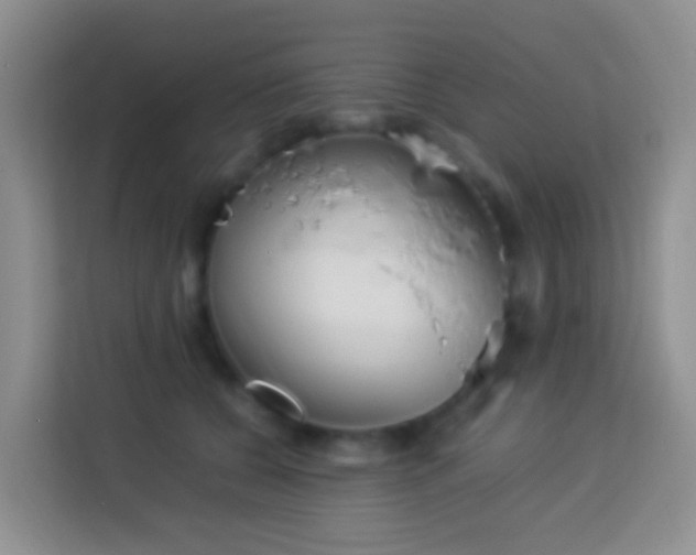 X0000114140560200910081307