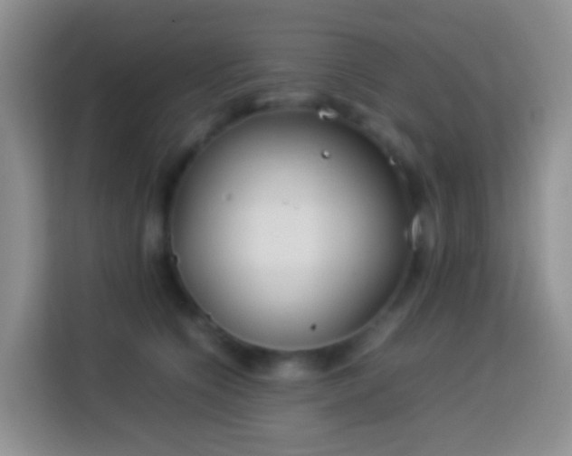 X0000114140564200910081307