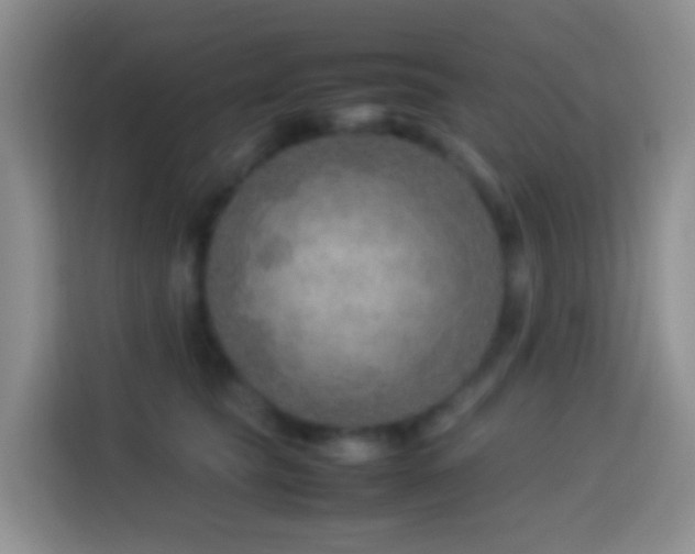 X0000114140565200910081307