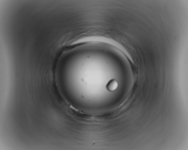 X0000114140568200910081307