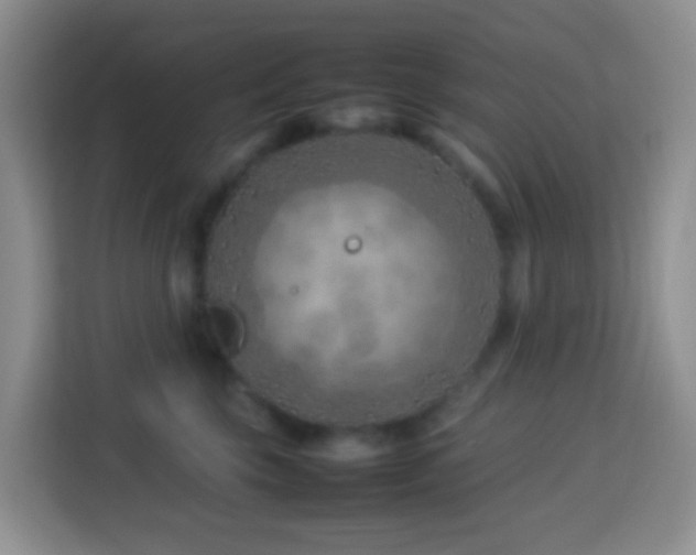 X0000114140569200910081307