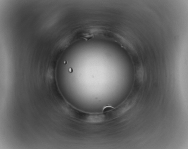 X0000114140571200910081307