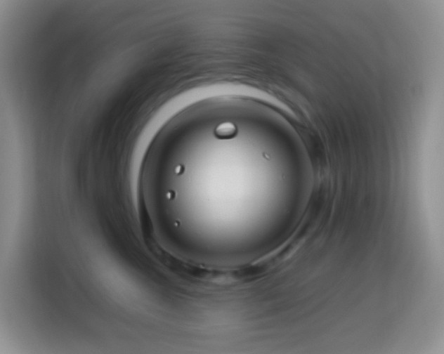 X0000114140572200910081307