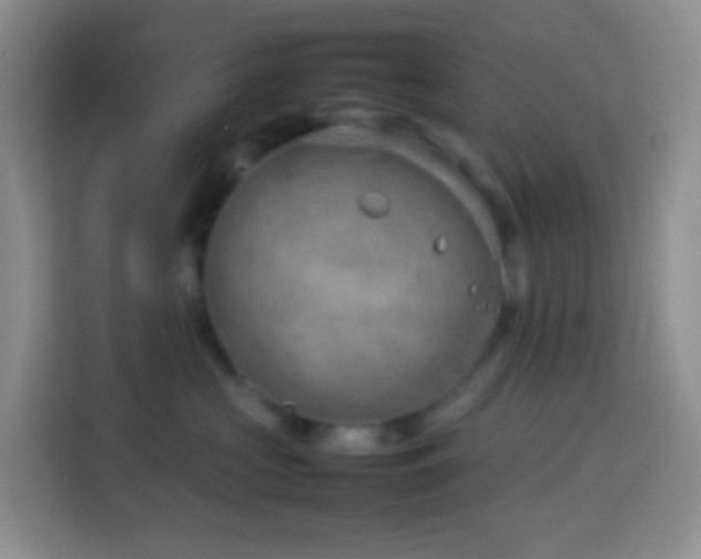 X0000114140573200910081307