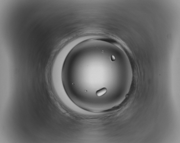 X0000114140581200910081306