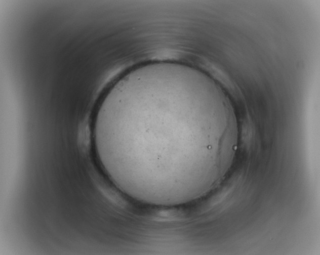 X0000114140584200910081306