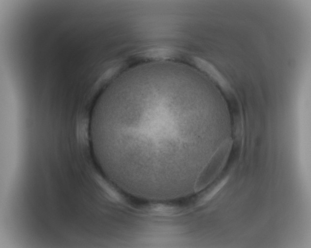 X0000114140585200910081306