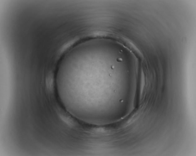 X0000114140588200910081306