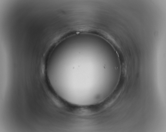 X0000114140589200910081306