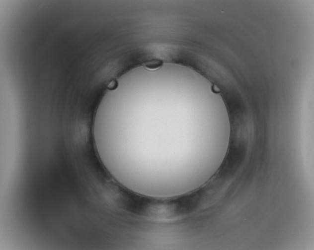 X0000114140595200910081306