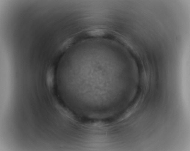 X0000114140600200910081306