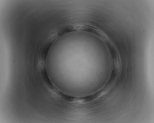 X0000114140602200910081306