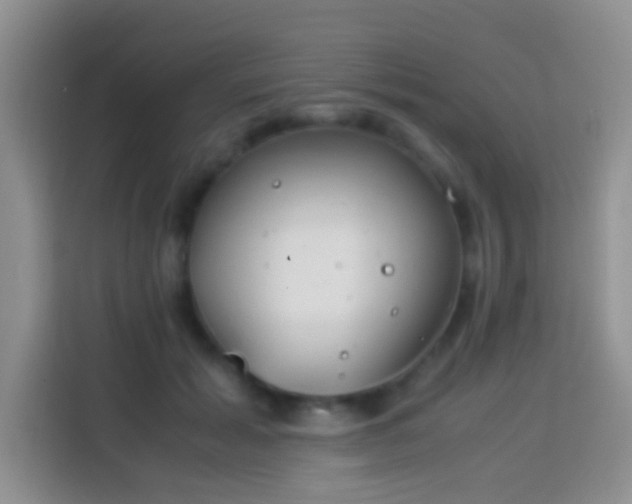 X0000114140605200910081306