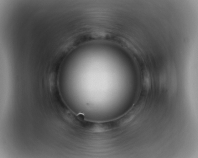 X0000114140616200910081306