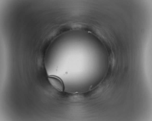 X0000114140619200910081306