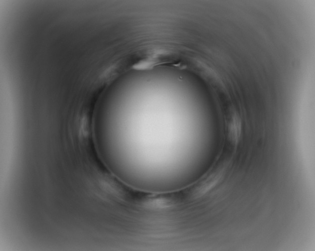 X0000114140620200910081306