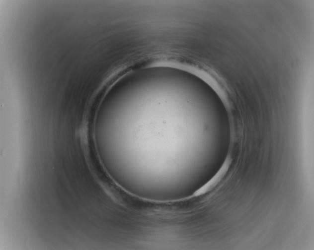 X0000114140626200910081305