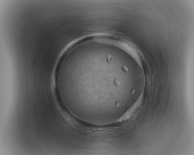 X0000114140628200910081305