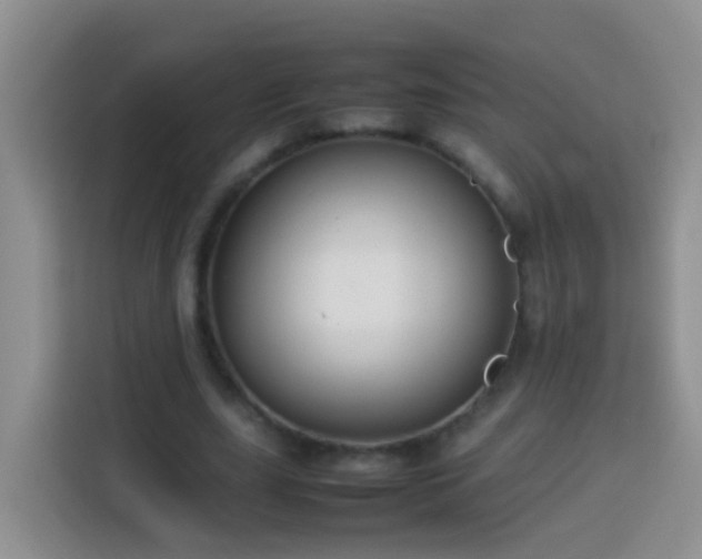 X0000114140631200910081305