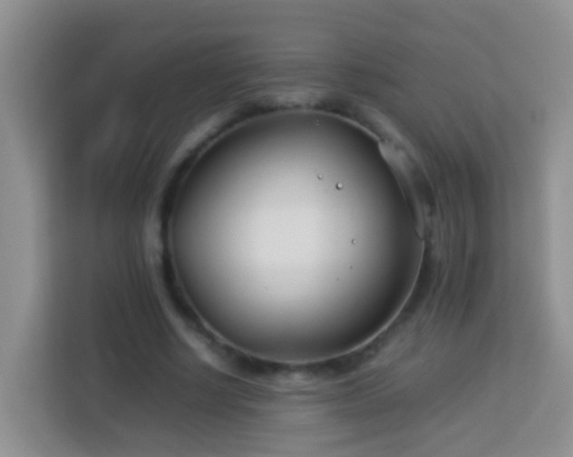 X0000114140634200910081305