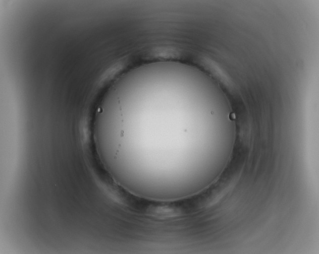 X0000114140635200910081305